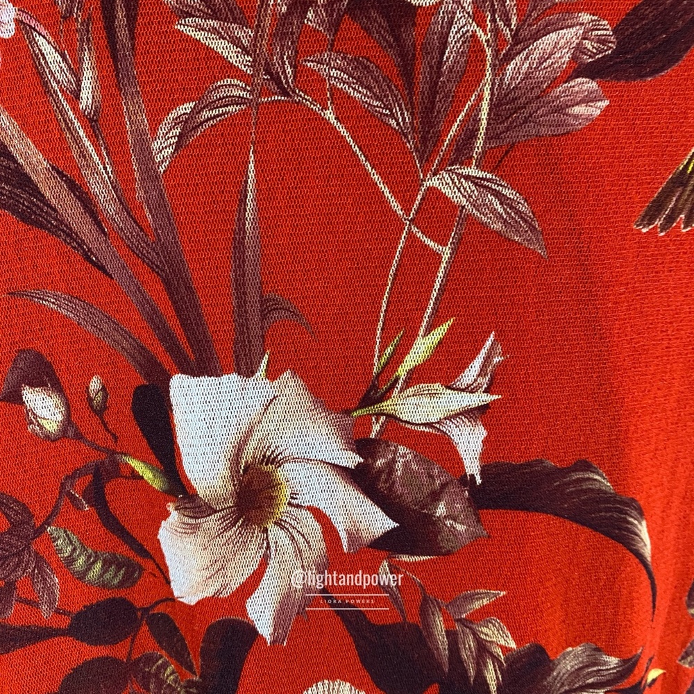 FUZZI™ Hummingbird Red Silk Tulle Dress S EUC - Picture 5 of 10